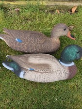 Sport Plast Mallard Duck