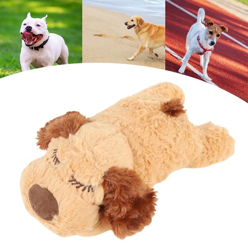 Puppy comfort toy heartbeat - puppy,