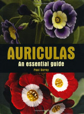 Auriculas: An Essential Guide - Dorey, Paul