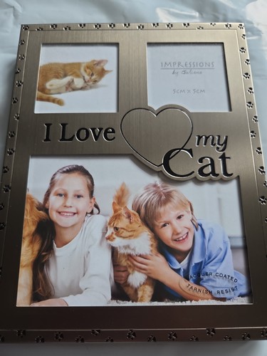 Love cat photo - cat,