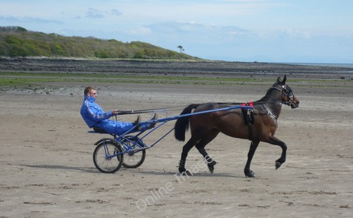 Photo 6x4 sulky racing - photo,