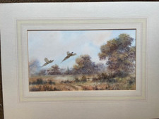 Trevor Parkin Original Watercolour Painting  of Pheasants matted for framing