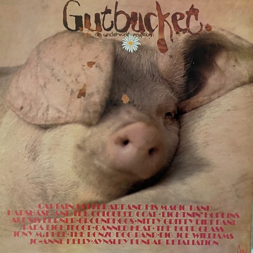 Captain beefheart groundhogs - beefheart,,