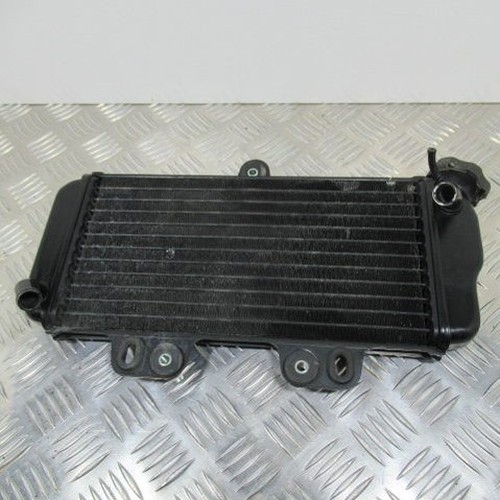Yamaha tdr 125 radiator - 125, 1998