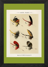 Vintage fishing flies - flies, framed