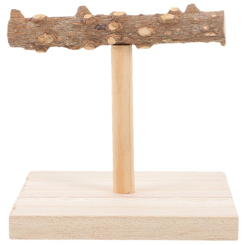 Sturdy wooden parrot - parrot, training