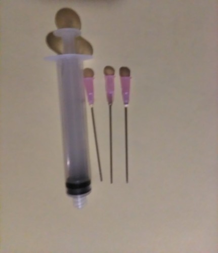 Blunt tip cannula - blunt,
