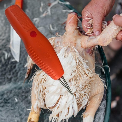 Electric poultry plucker - poultry,