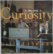 Curiosity Killed The Cat –