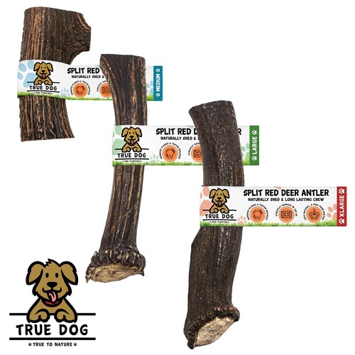 Split wild antler dog - antler, chews