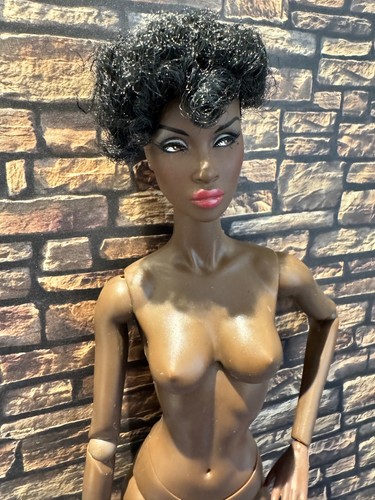 Integrity toys fashion royalty - integrity,
