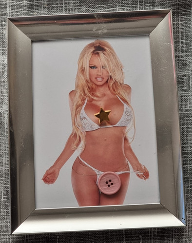 Pamela anderson art nude - pamela,
