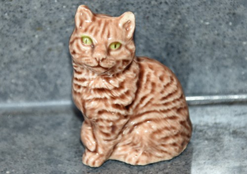 Wade tabby sitting - wade, cms
