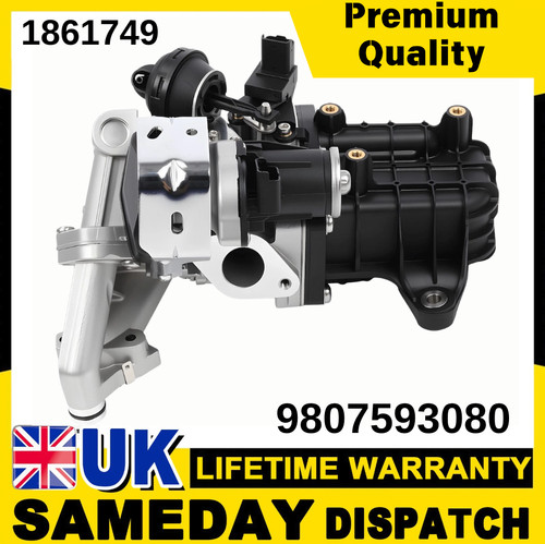 Egr valve cooler module - valve, for