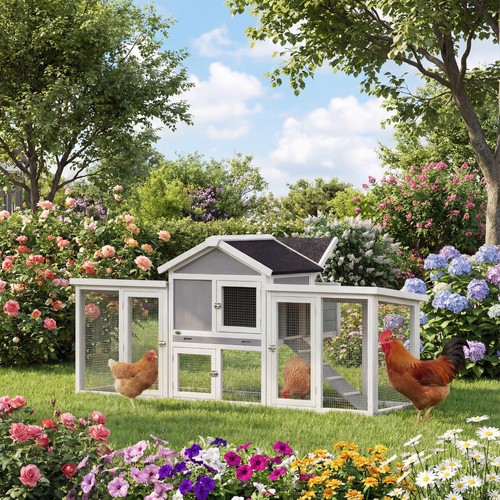 Large chicken coop - chicken, wooden