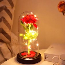 Preserved Rose Glass Dome LED