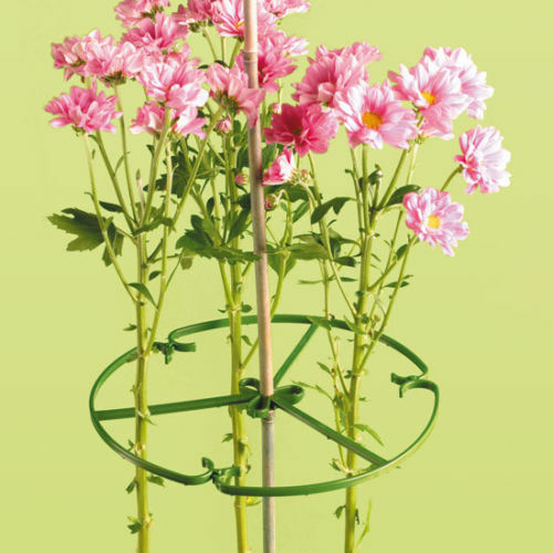 Garden plant flower support - plant/,