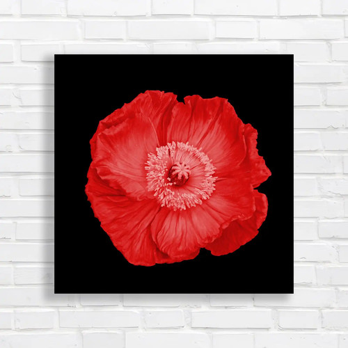 Vibrant orange poppy red - orange,
