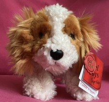 Keel Cuddle Puppies King