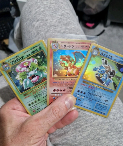 Charizard venusuar - venusuar, &