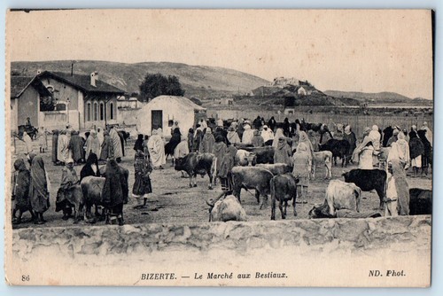 Bizerte governorate - bizerte,