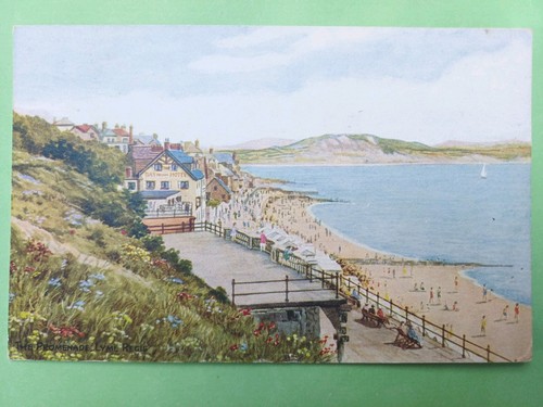 Post card salmon - post,