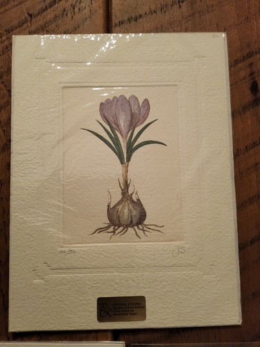 Original etchings signed - original,