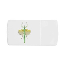 'Stick Insect' Pill Box with
