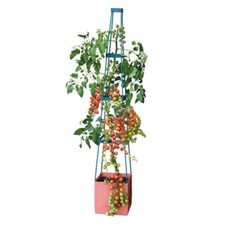 Garden Grow 4-Tier