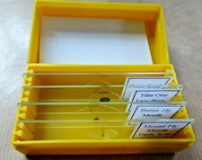 4 Prepared Microscope Slides