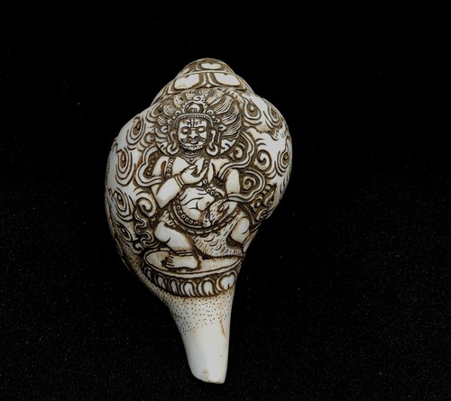 Zambala ritual conch - zambala,