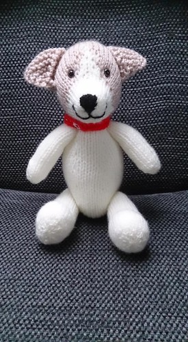 Jack russell puppy - ,