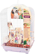 Cockatiel & Small Parrot