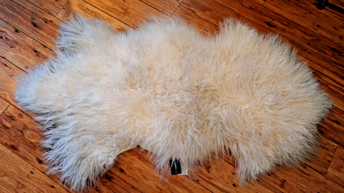 White mongolian tibetan - white,