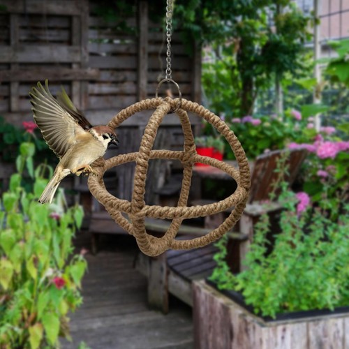 Small parrot swing - swing, ball