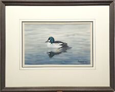PHILIP RICKMAN, GOLDENEYE DUCK, 1971 SIGNED ORIGINAL WATERCOLOUR PAINTING FRAMED