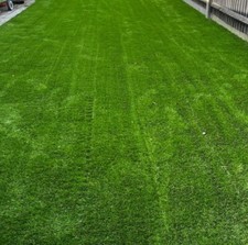 Artificial Grass.  50mm Depth 4M X 4M