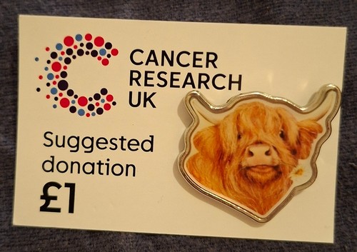 Charity pin badge - , buffalo