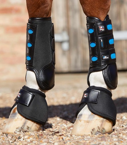 Premier equine air cooled - air,