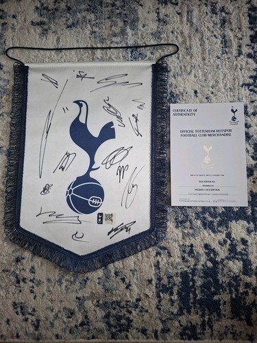 Tottenham hotspur first team - tottenham,
