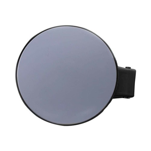 Fuel gas tank door - gas, cover