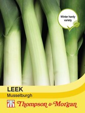 Thompson & Morgan - Vegetables - Leek Musselburgh - 350 Seed