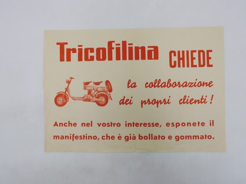 Lambretta tricofilina - lambretta,