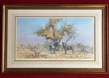  Zebras & Colony Weavers-David Shepherd Signed Ltd Ed.1/80 Print inFrame80x103cm