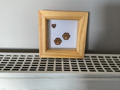 Small 4x4 dog - 4x4, in