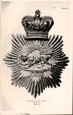 Leicestershire Regt Officers