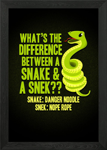 Ophiology pet snakes snek - ophiology,