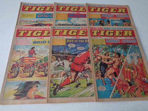 Tiger and jag - 6, x