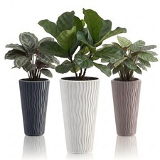 Tall Wavy Plant Pots with