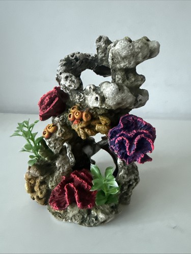 Coral planted marine reef - planted,
